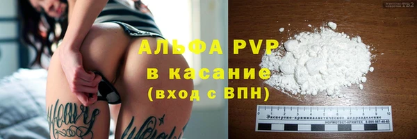 твердый Абаза