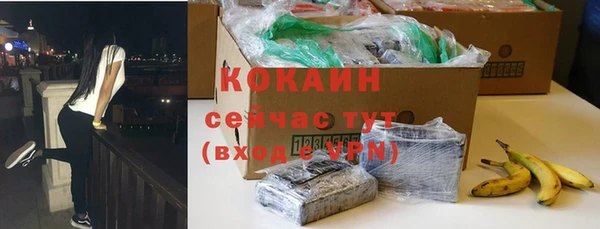 твердый Абаза
