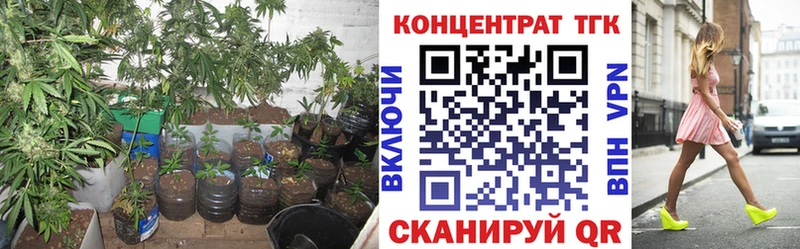 ОМГ ОМГ как зайти Монино Дистиллят ТГК концентрат